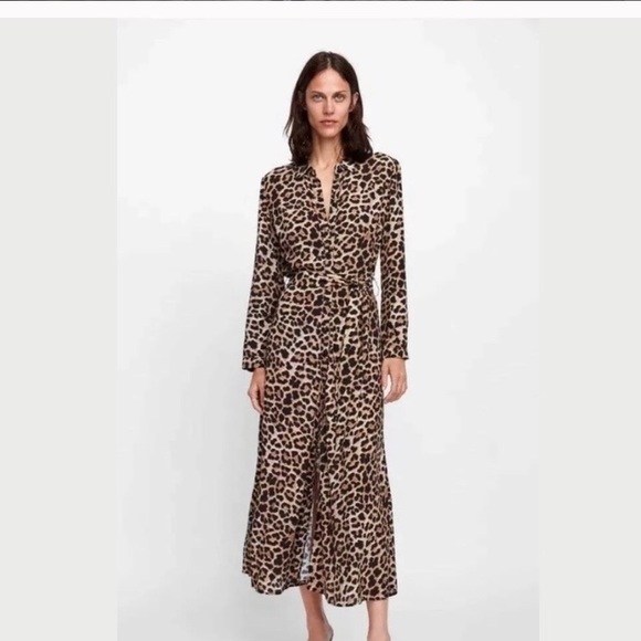 Zara Midi Animal Printed - Picture 6 of 6